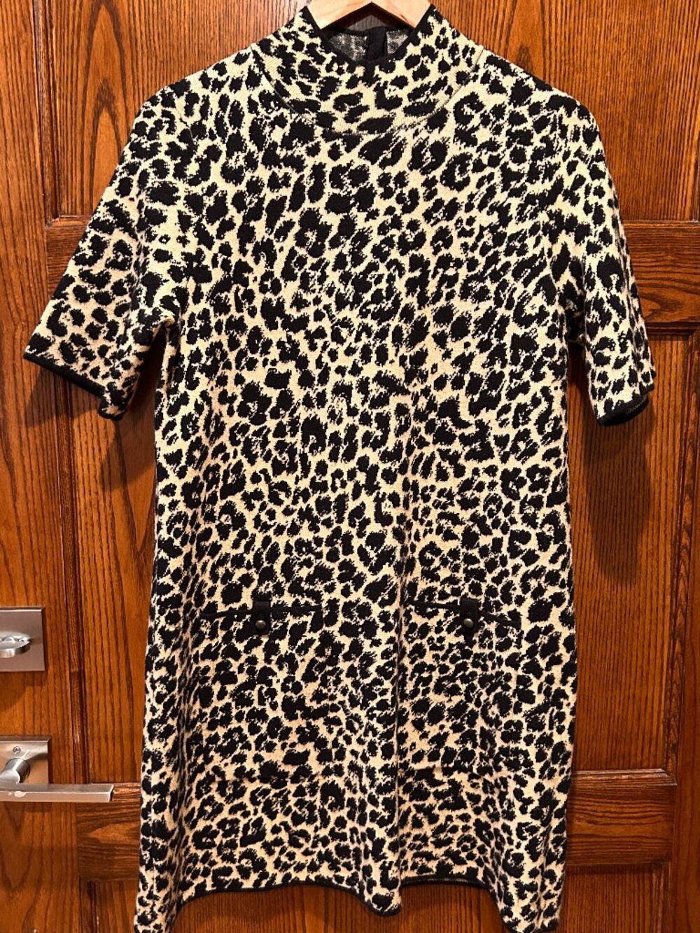 Statement leopard-print dress by Maeve for Anthropologie